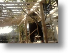 pergola irise gole club011.jpg